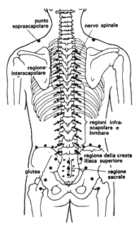 Punti di trattamento lungo la colonna vertebrale