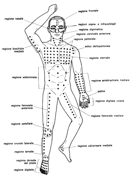 Punti fondamentali dello shiatsu Namikoshi (anteriori)